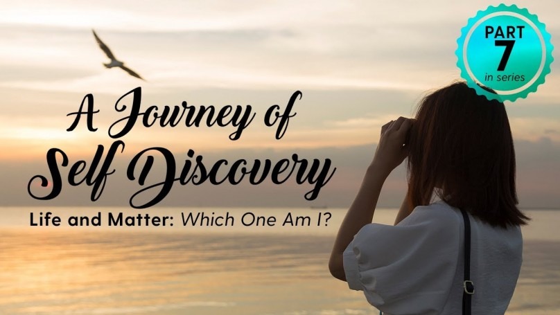 Life and Matter: Which One Am I? Life and Matter: Which One Am I?
